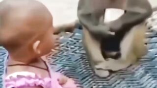 cute monkey