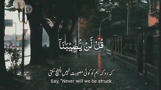 Surah Taoba|Allah k hukem k Bghair kisi Ko Musibat nahi Phnch sakti