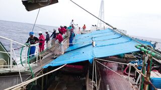 memancing ikan dilaut lepas jepang [bagian 1]
