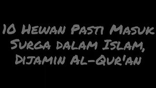10 Hewan yang dijamin masuk Surga
