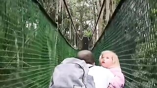 Funny Monkey
