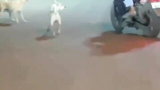 Respect 999+