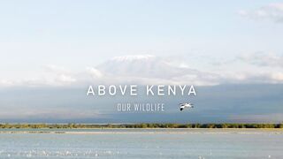 Above kenya