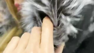 МОДА