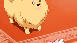 Cinta Anjing