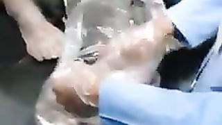 FUNNY 27