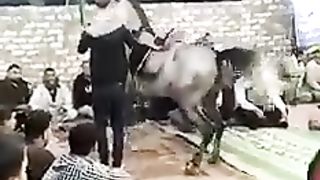 FUNNY 28