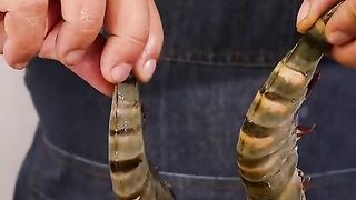 CrISPY TOFU PRAWNS TEMPURA