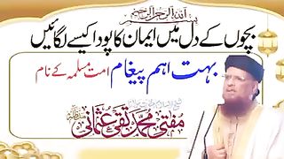 شیخ السلام مفتی تقی عثمانی صاحبؒ 2