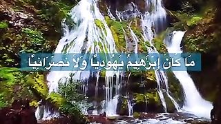????صلو علی النبی????
