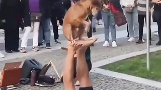 Шоу