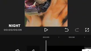 Naughty dog #Short