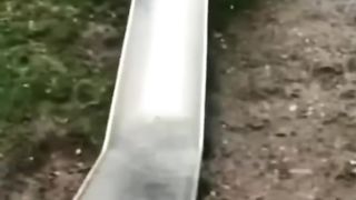 the end???? #shorts #funny #fail #viral #humorfolder