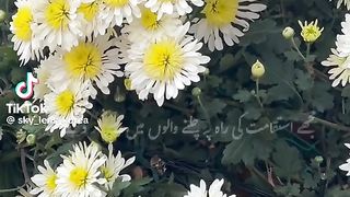 Ameen????????????