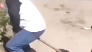 who do you funny people funny video