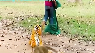 Funny animal 57