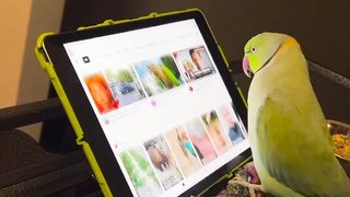 He’s using the iPad better than most people