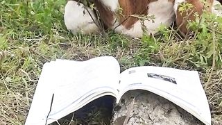 Funny video 2023 funny camdey video 2023 funny drama video 2023 funny tiktok video 2