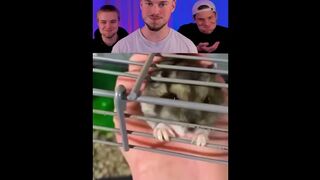 Don't Laugh Animal ????????