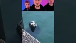 FUNNIEST ANIMALS ????