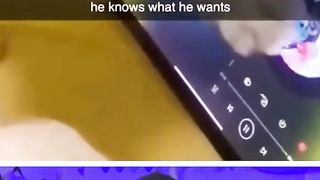 Funny Animals ???? 3