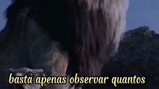 Nunca desista 74