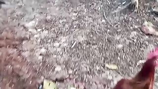 Tempat kerja suasana desa