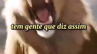 Nunca desisti 23