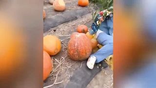 Instant Regret - Fail Compilation | Funny Fails 9