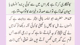 اسلامی معلومات 670