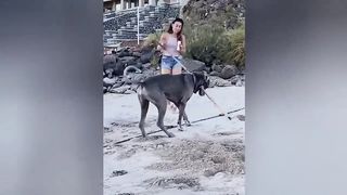Instant Regret - Fail Compilation | Funny Fails 12