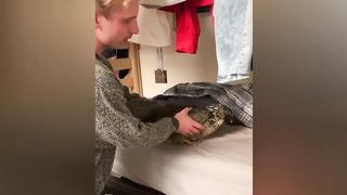 Instant Regret - Fail Compilation | Funny Fails 15