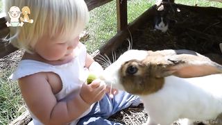 Cute friendship babies and rabbits.
