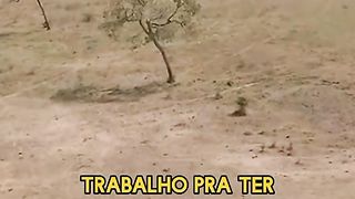 Nunca desista 78