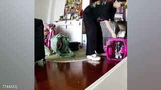 FUNNY CATS , GATOS