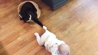 Baby and Cat Fun and Cute - Funny Baby Video 5