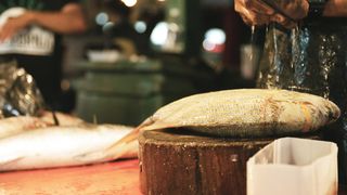 "Flavor Fusion: Culinary Alchemy in Every Bite"