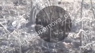 Ukraine Russia War | Ukrainian Kamikaze Drone Targets Russians near Verbove | RCF