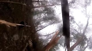 Ukraine Russia War | Confrontation in Ukrainian Forest (Part 3/3) | RCF