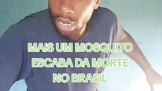 mais uma mosquito escapa da morte no Brasil