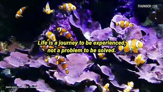 today's quote