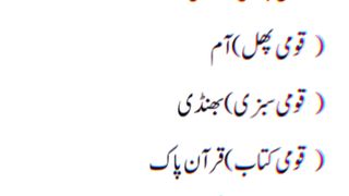 Best General knowledge and MCQs information about pakistan