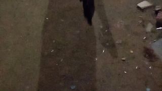 New cat febspot 2