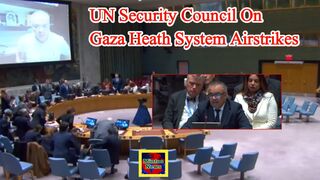 UN Security Council Addresses the Gaza Healthcare Crisis and Discusses Recent Attacks on Hospitals