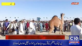 Camel ????dance