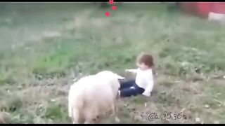 Short fun 2