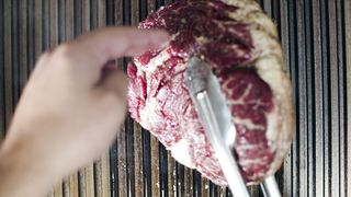 "Palate Perfection: Embark on a Culinary Safari Through Exquisite Tastes!"