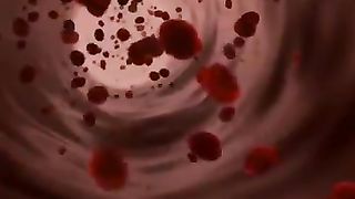Red Blood Cells
