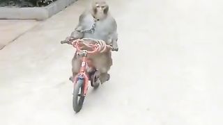 Funny shots ???? ???? ????