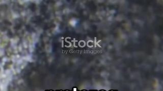 Amoeba: The Shape-Shifting Marvel